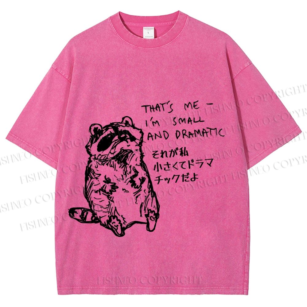 Unisex Small And Dramatic Raccoon Printed Washed Tee