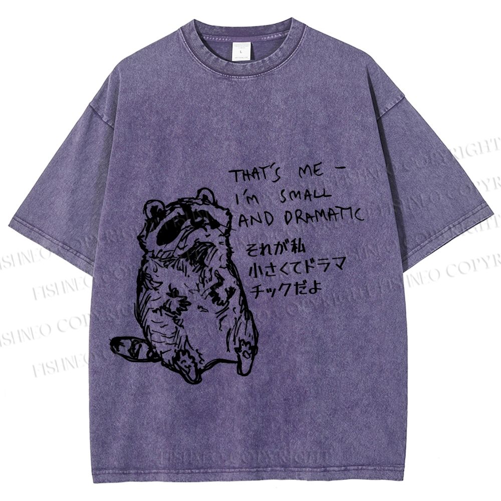 Unisex Small And Dramatic Raccoon Printed Washed Tee