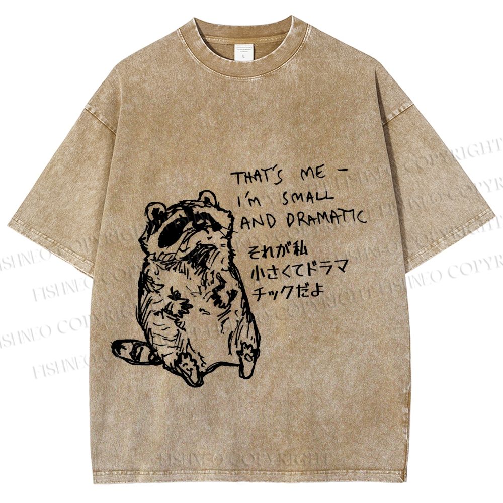 Unisex Small And Dramatic Raccoon Printed Washed Tee