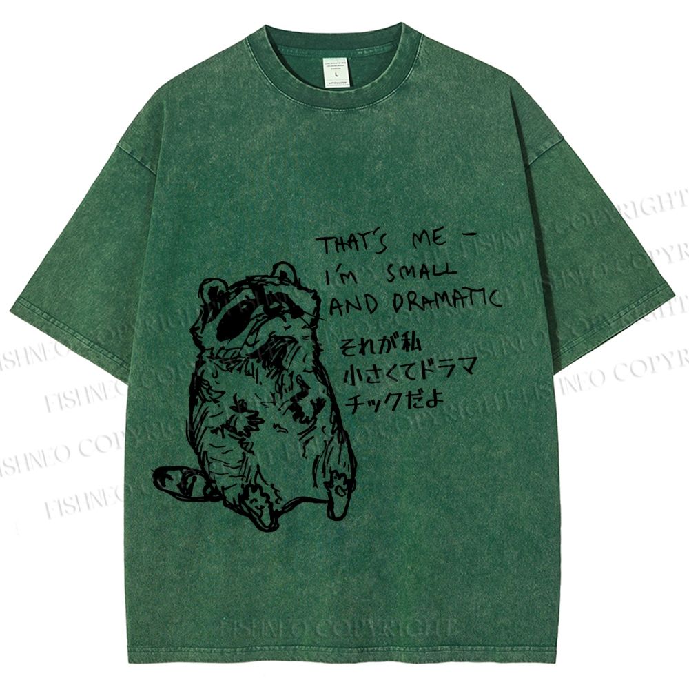 Unisex Small And Dramatic Raccoon Printed Washed Tee