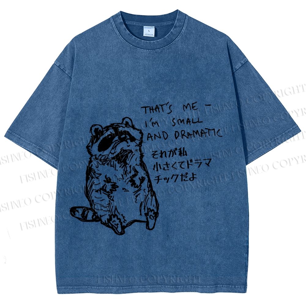 Unisex Small And Dramatic Raccoon Printed Washed Tee