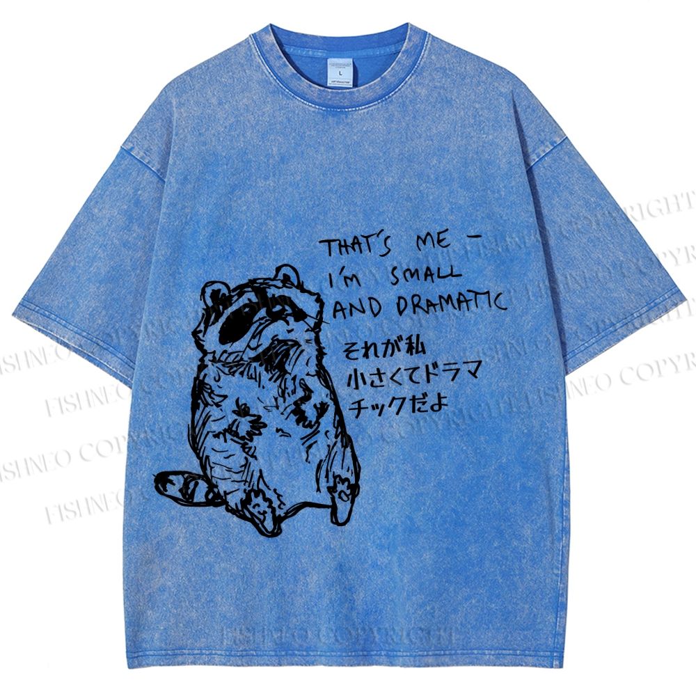 Unisex Small And Dramatic Raccoon Printed Washed Tee