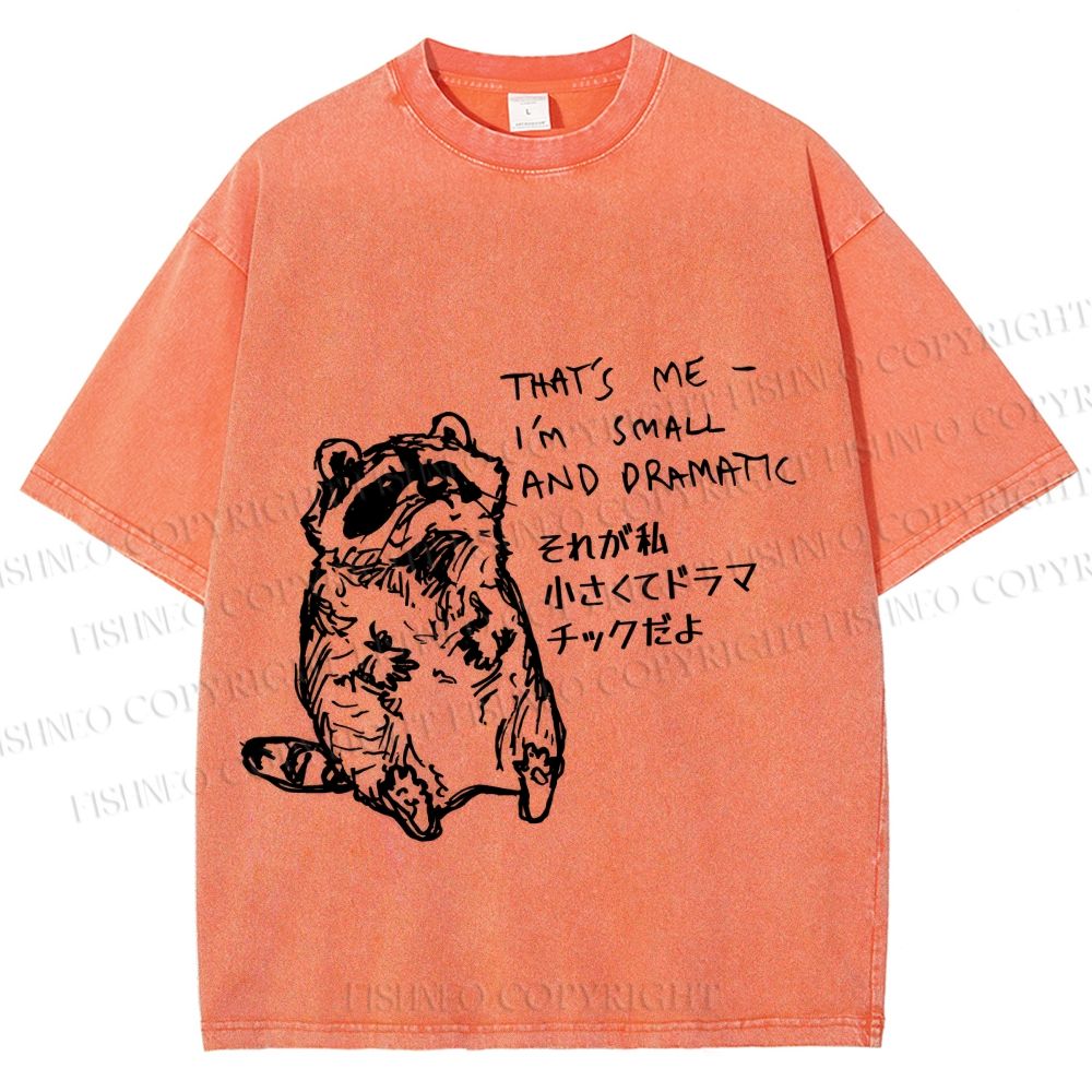 Unisex Small And Dramatic Raccoon Printed Washed Tee