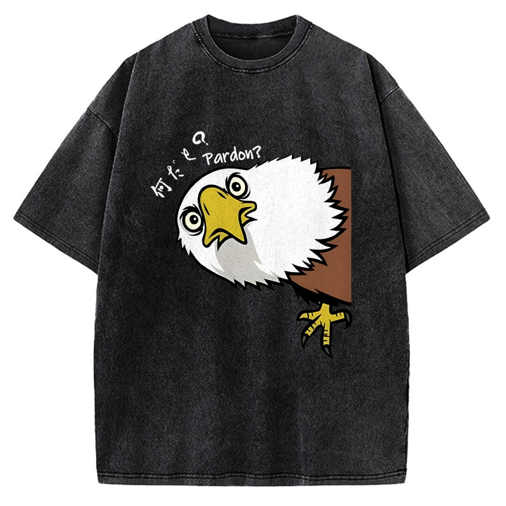 Pardon Curious Eagle Vintage Washed T-shirt