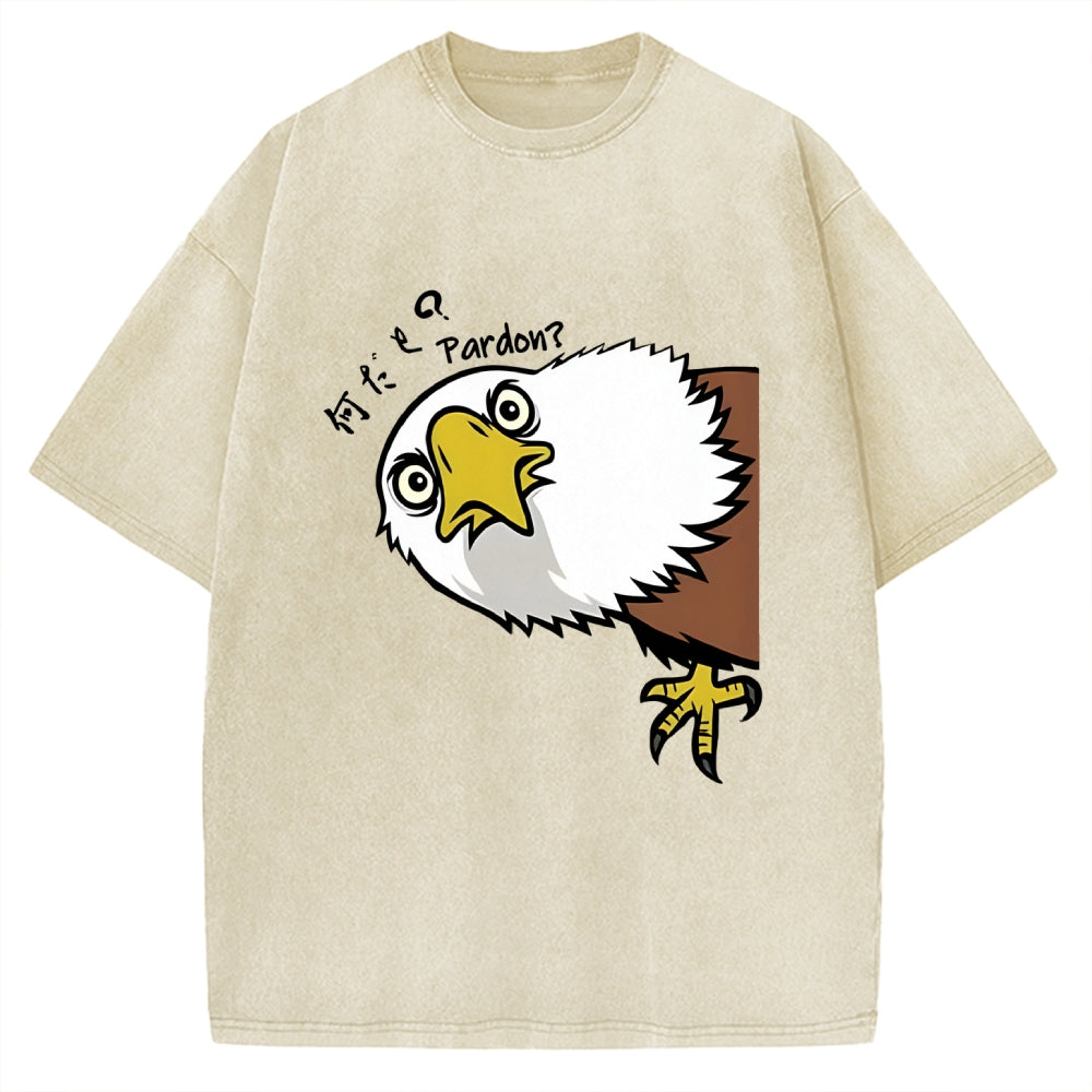 Pardon Curious Eagle Vintage Washed T-shirt