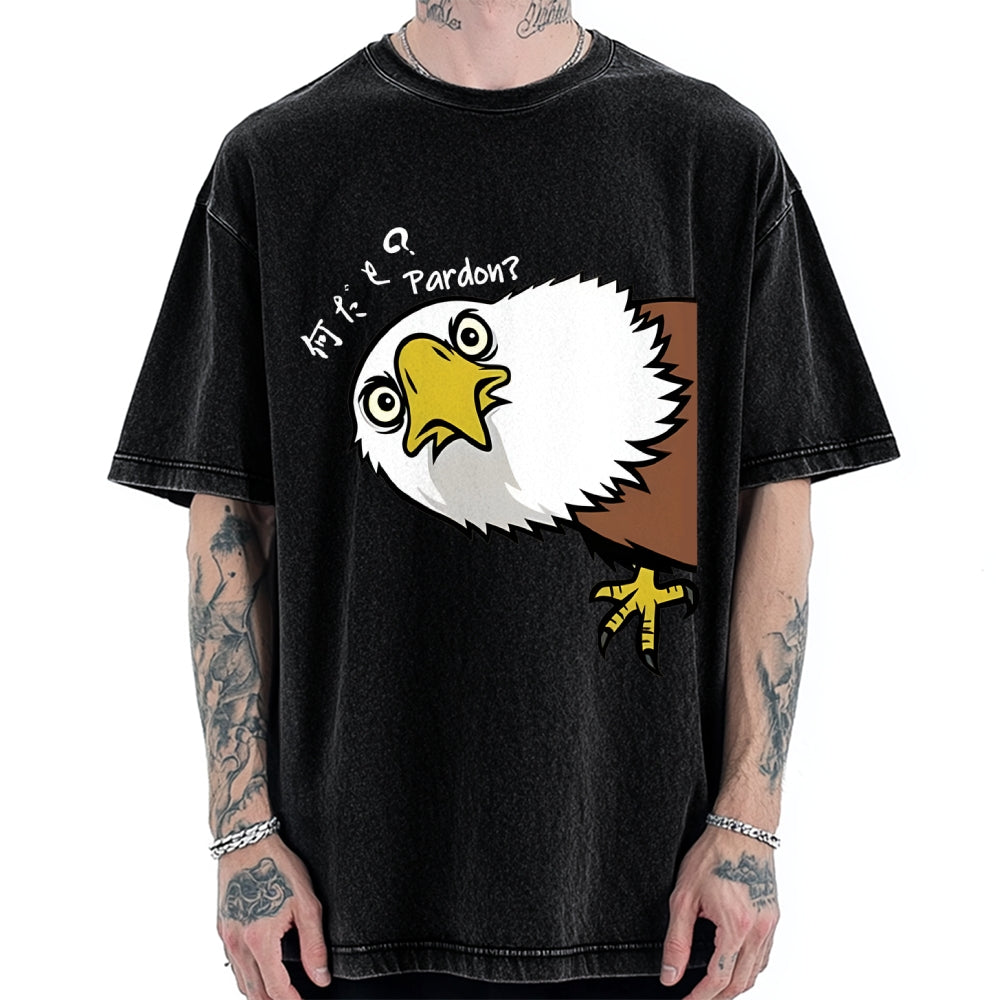 Pardon Curious Eagle Vintage Washed T-shirt