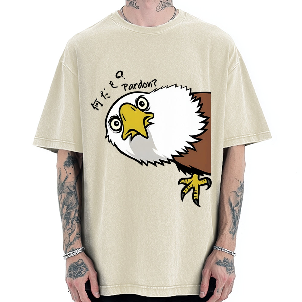 Pardon Curious Eagle Vintage Washed T-shirt