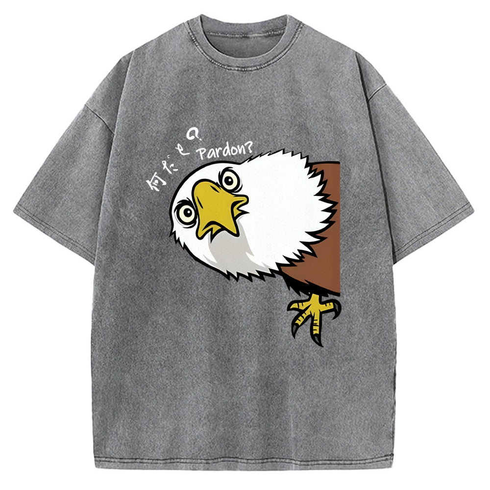 Pardon Curious Eagle Vintage Washed T-shirt