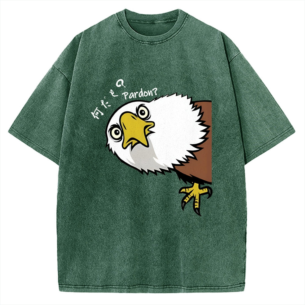 Pardon Curious Eagle Vintage Washed T-shirt