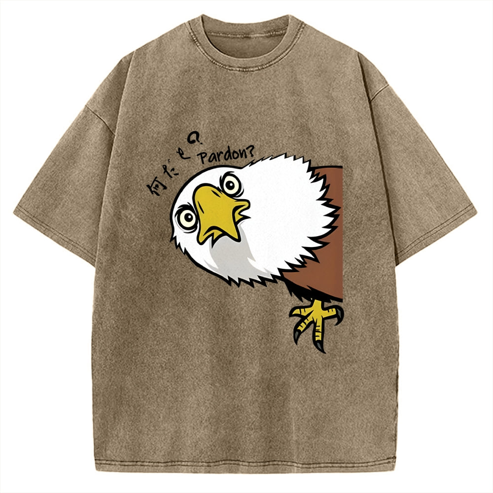 Pardon Curious Eagle Vintage Washed T-shirt