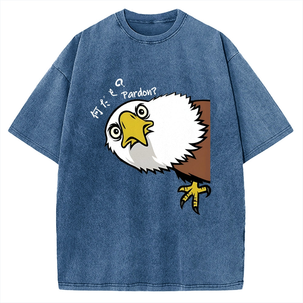 Pardon Curious Eagle Vintage Washed T-shirt