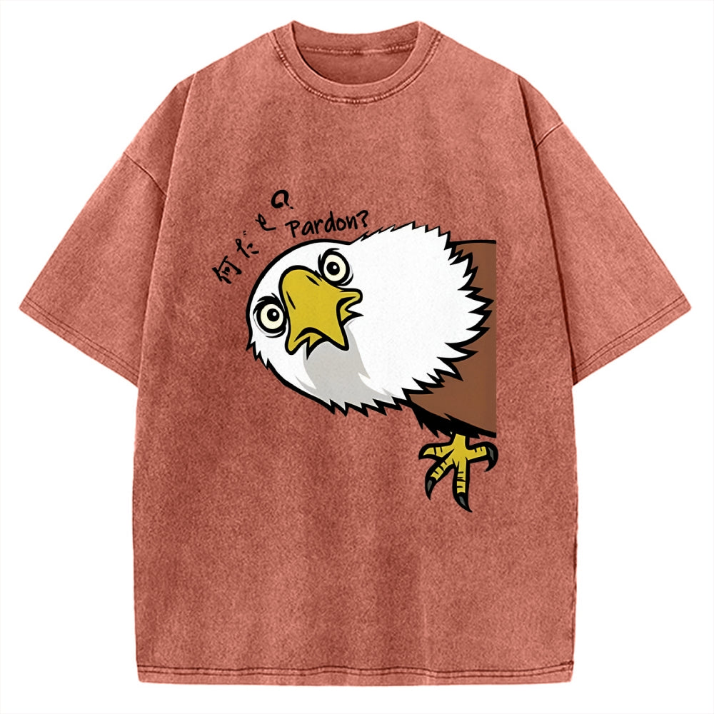 Pardon Curious Eagle Vintage Washed T-shirt