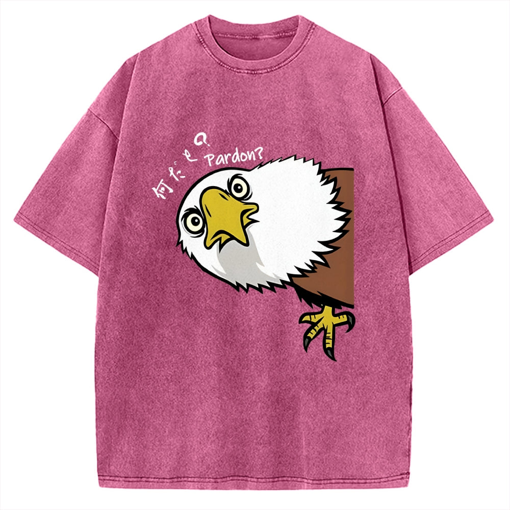 Pardon Curious Eagle Vintage Washed T-shirt