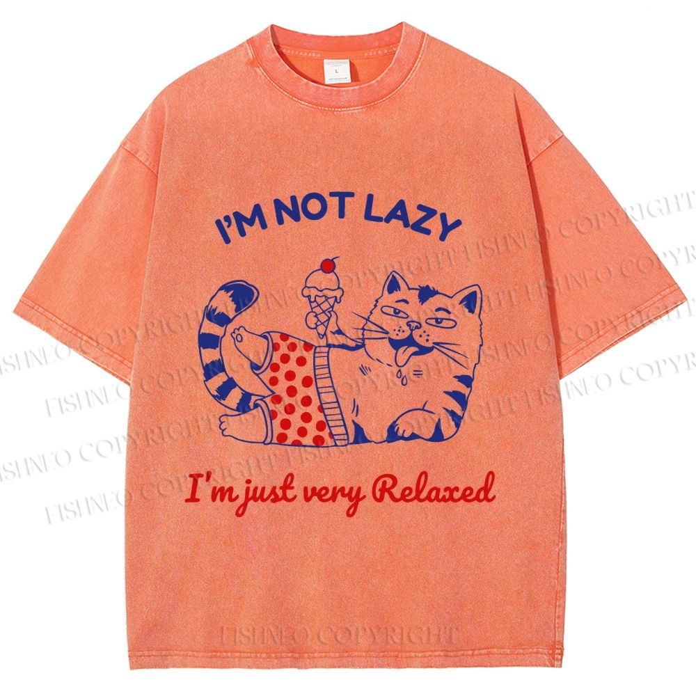 Unisex Relax Cat Printed Washed Tee