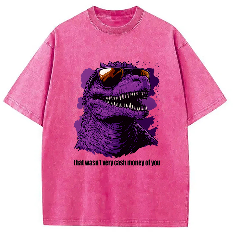 That Wasn't Very Cash Money Of You Washed T-Shirt