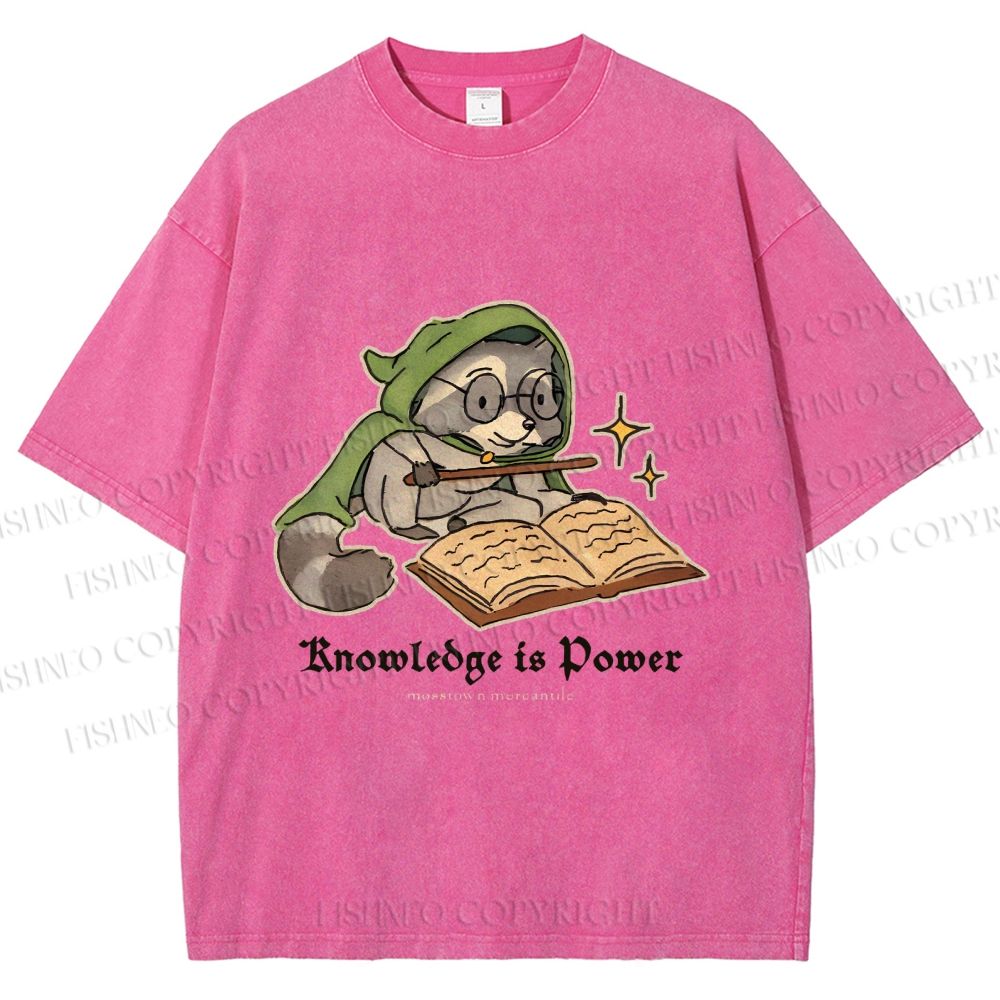 Unisex Raccoon Knowledge Is Power Printed Washed Tee