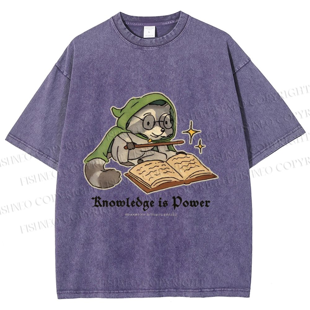 Unisex Raccoon Knowledge Is Power Printed Washed Tee