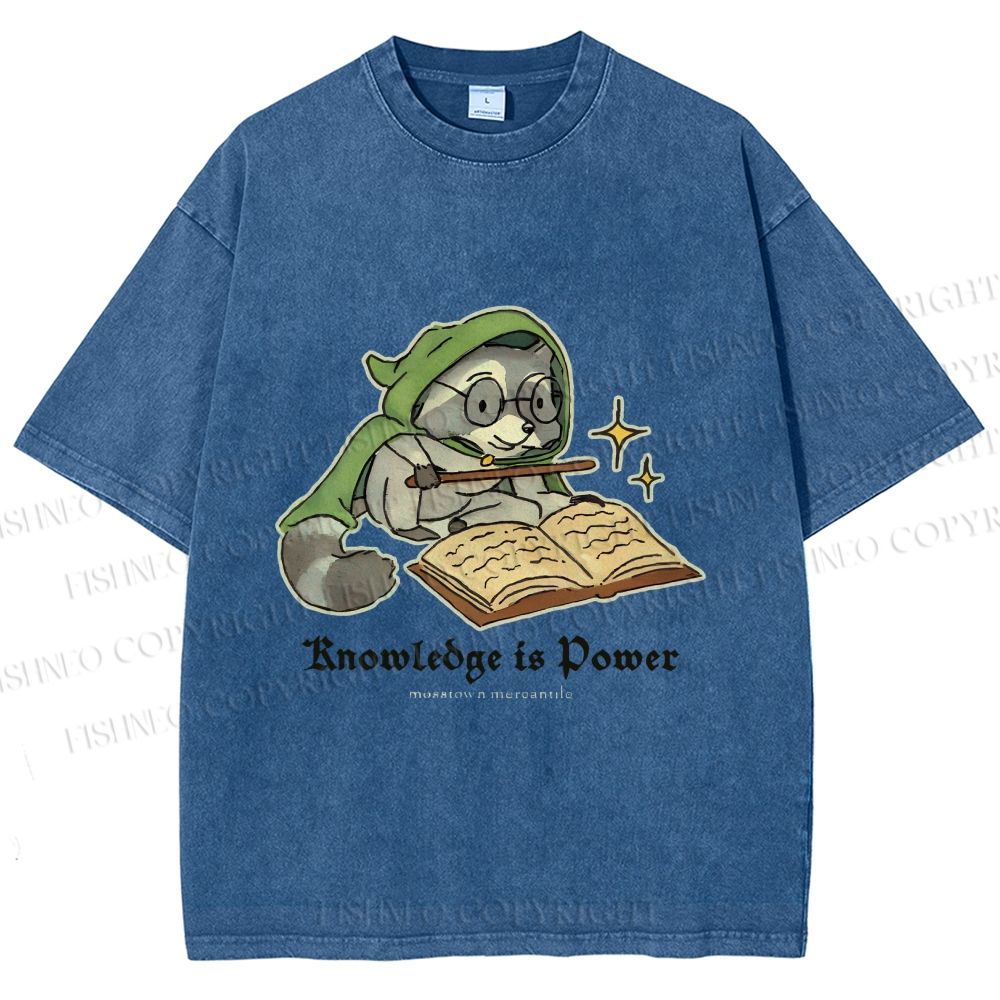 Unisex Raccoon Knowledge Is Power Printed Washed Tee