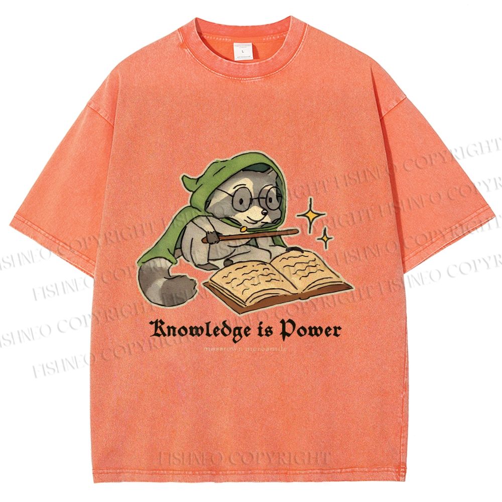 Unisex Raccoon Knowledge Is Power Printed Washed Tee