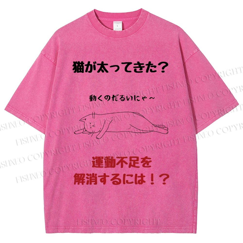 Unisex Lack Of Exercise Cat Printed Washed Tee