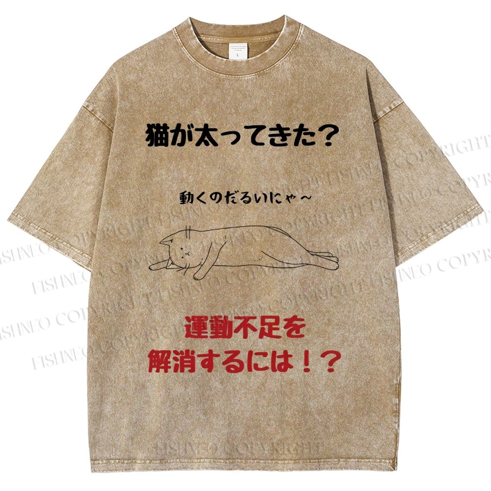 Unisex Lack Of Exercise Cat Printed Washed Tee