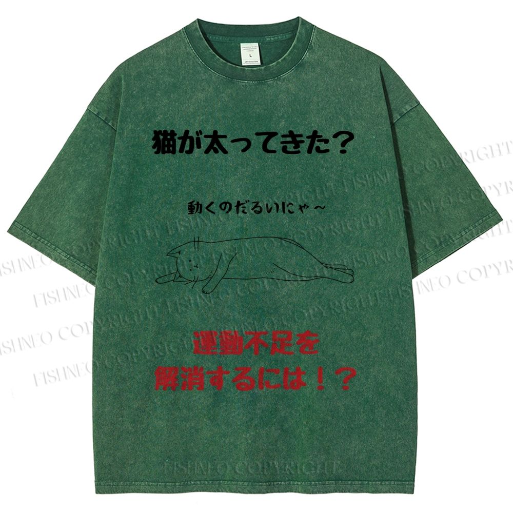 Unisex Lack Of Exercise Cat Printed Washed Tee