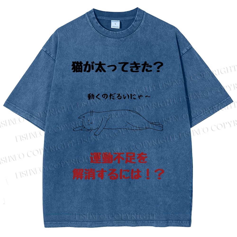 Unisex Lack Of Exercise Cat Printed Washed Tee