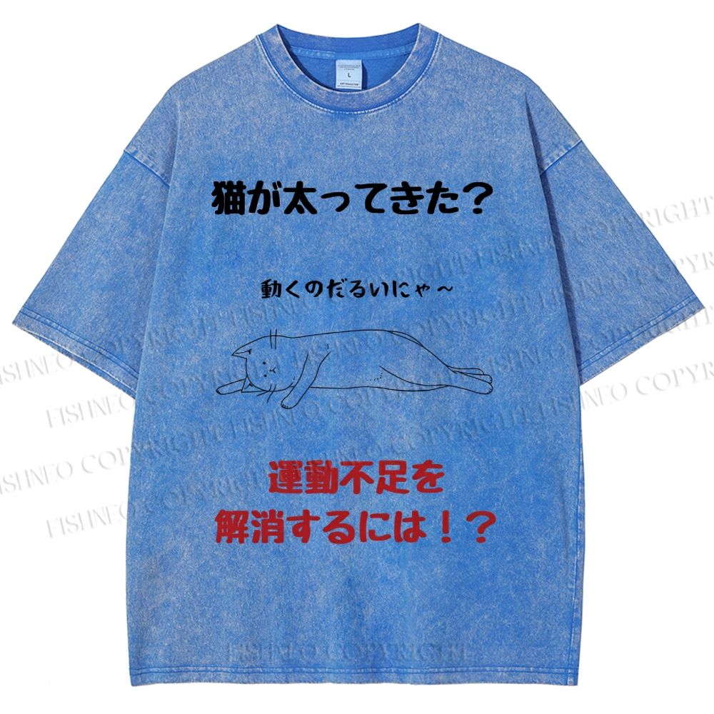 Unisex Lack Of Exercise Cat Printed Washed Tee