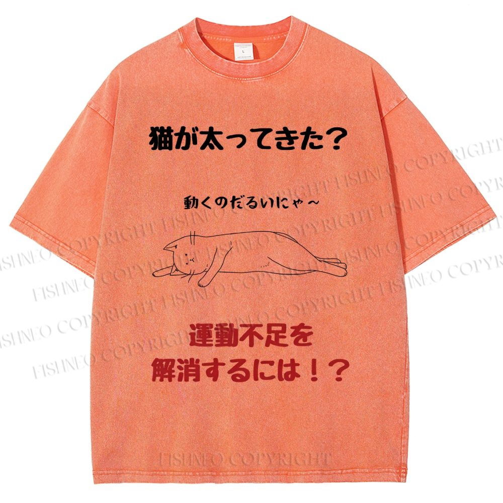Unisex Lack Of Exercise Cat Printed Washed Tee