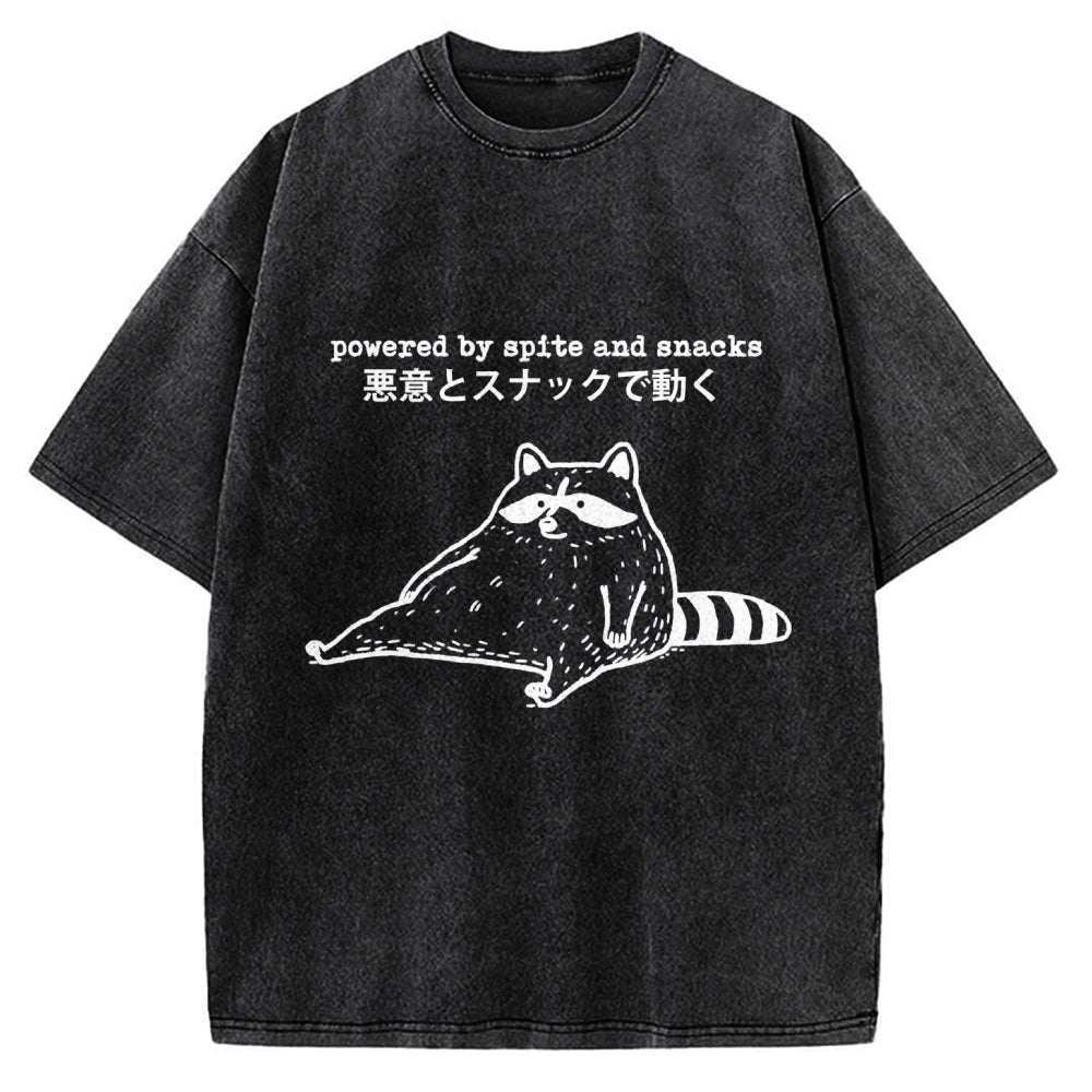 Power By Spite and Snacks Vintage Washed T-shirt