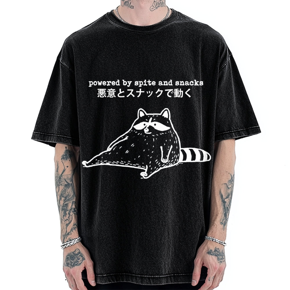 Power By Spite and Snacks Vintage Washed T-shirt