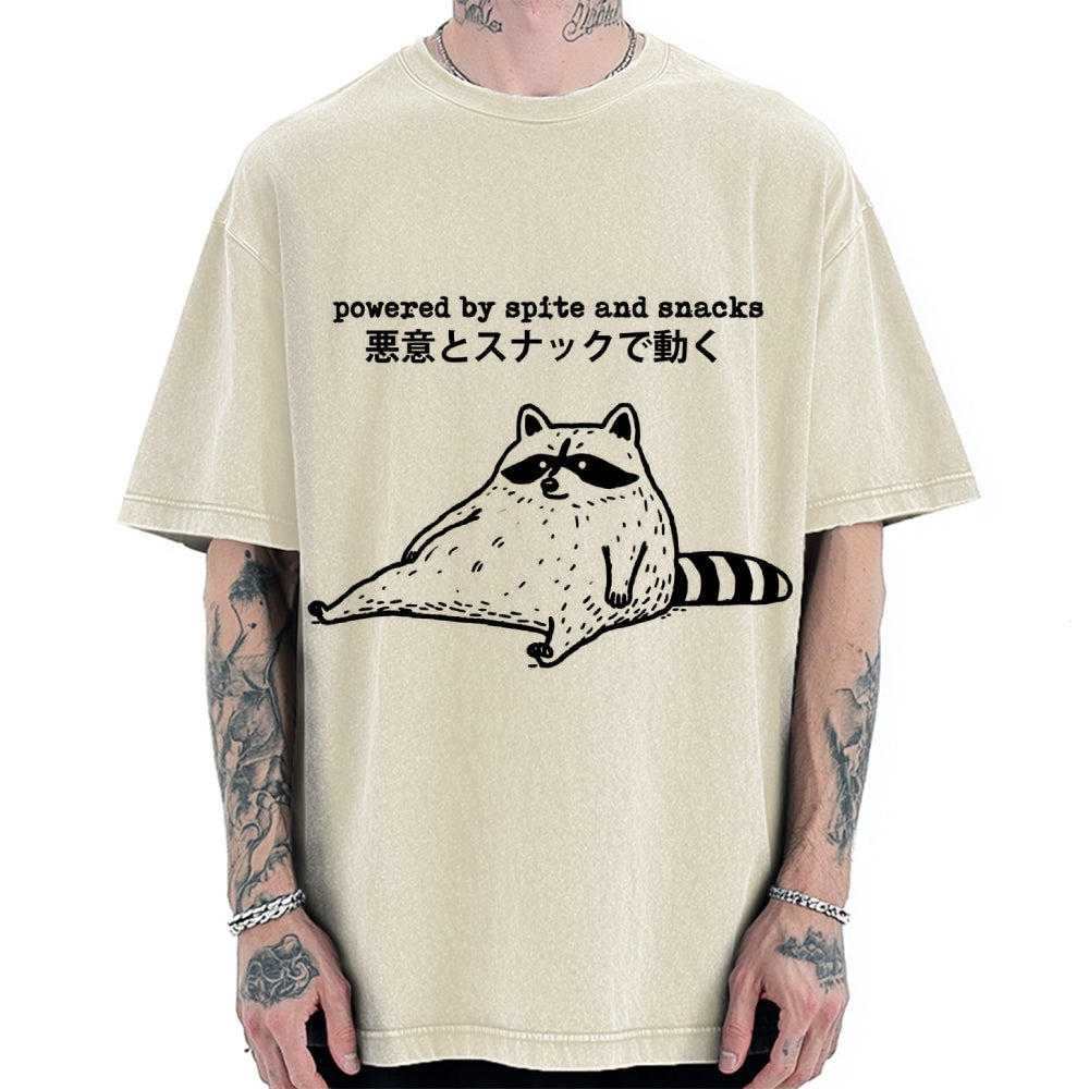 Power By Spite and Snacks Vintage Washed T-shirt
