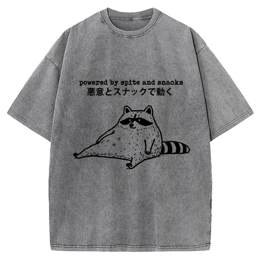 Power By Spite and Snacks Vintage Washed T-shirt