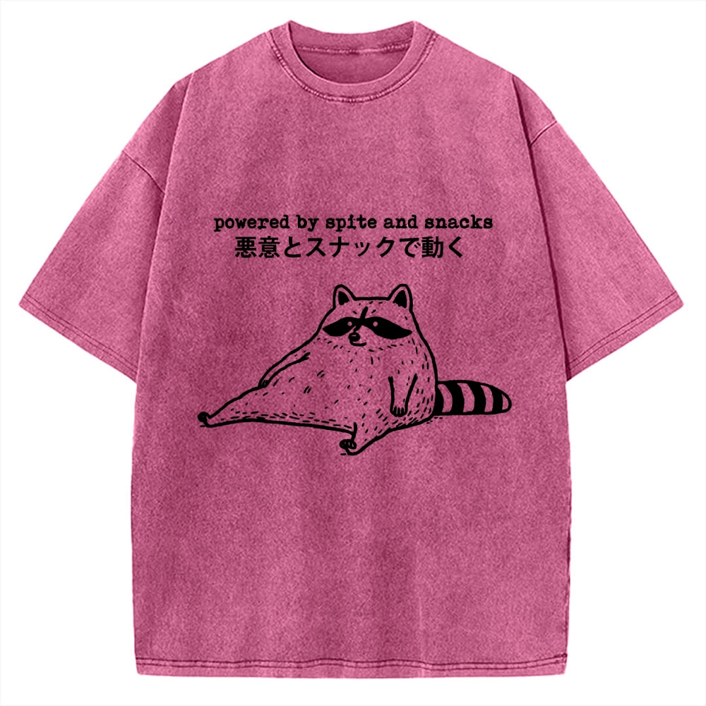 Power By Spite and Snacks Vintage Washed T-shirt