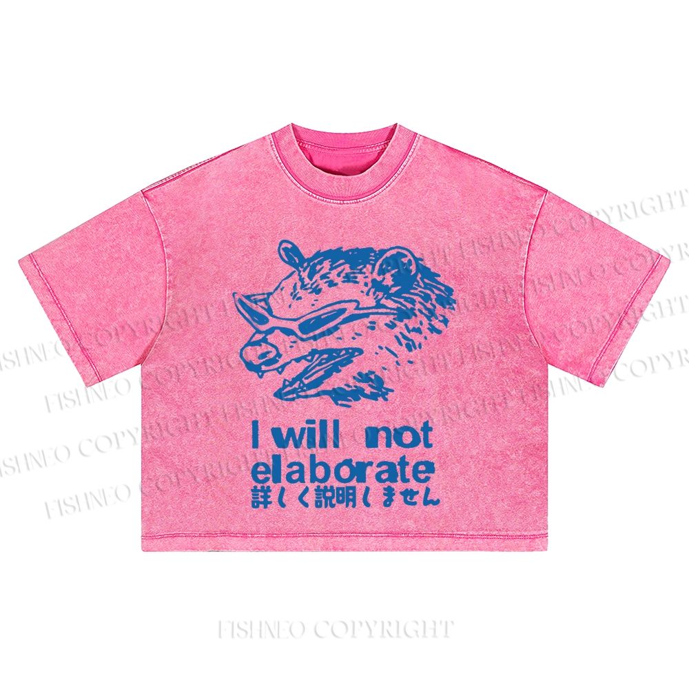 Japanese Raccoon Will Not Elaborate Washed Cropped T-Shirt