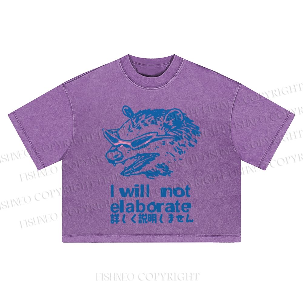 Japanese Raccoon Will Not Elaborate Washed Cropped T-Shirt