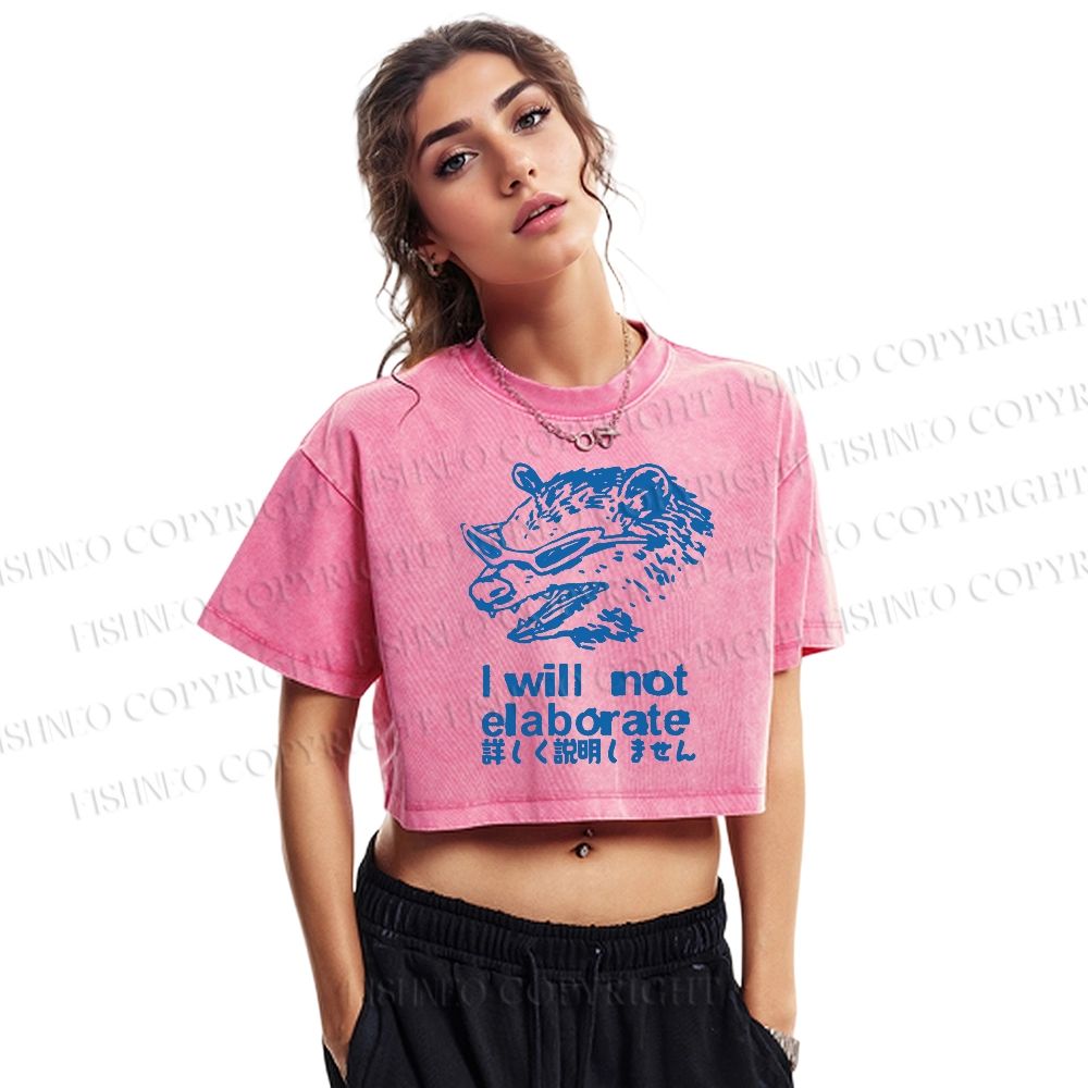 Japanese Raccoon Will Not Elaborate Washed Cropped T-Shirt