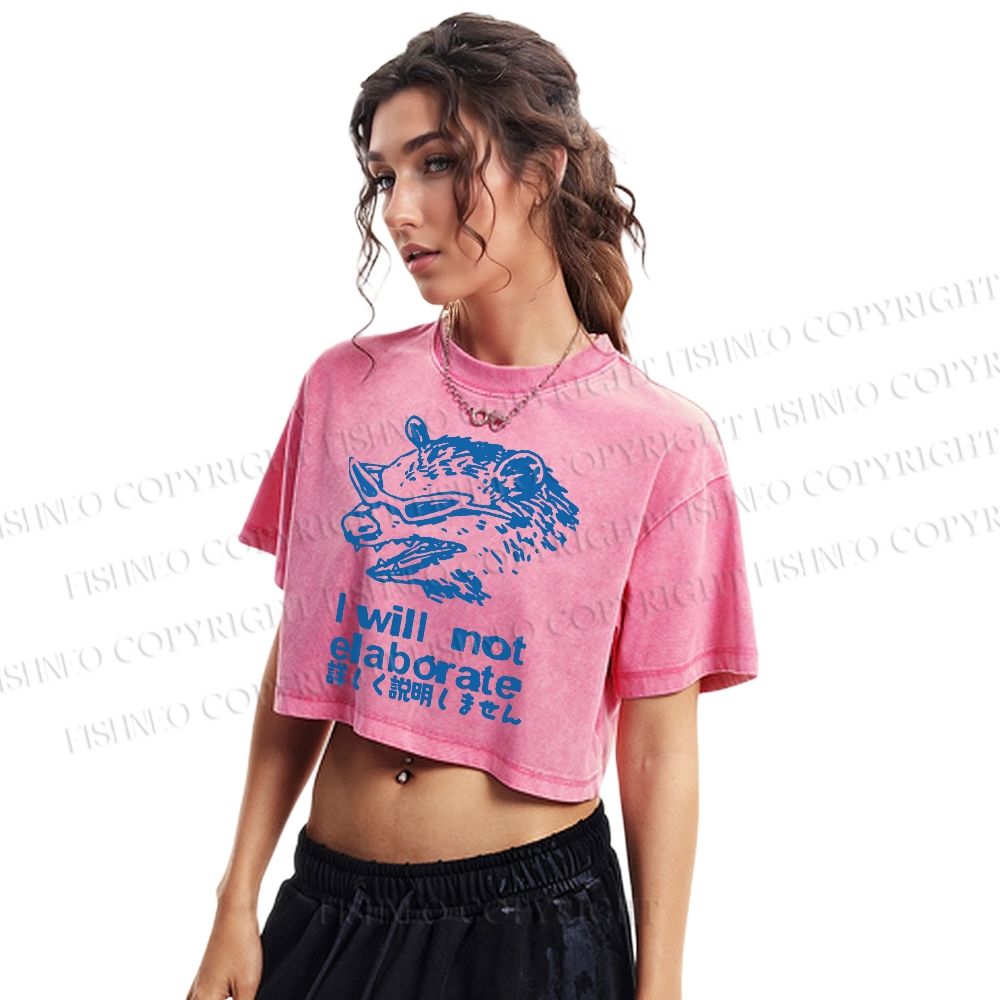 Japanese Raccoon Will Not Elaborate Washed Cropped T-Shirt