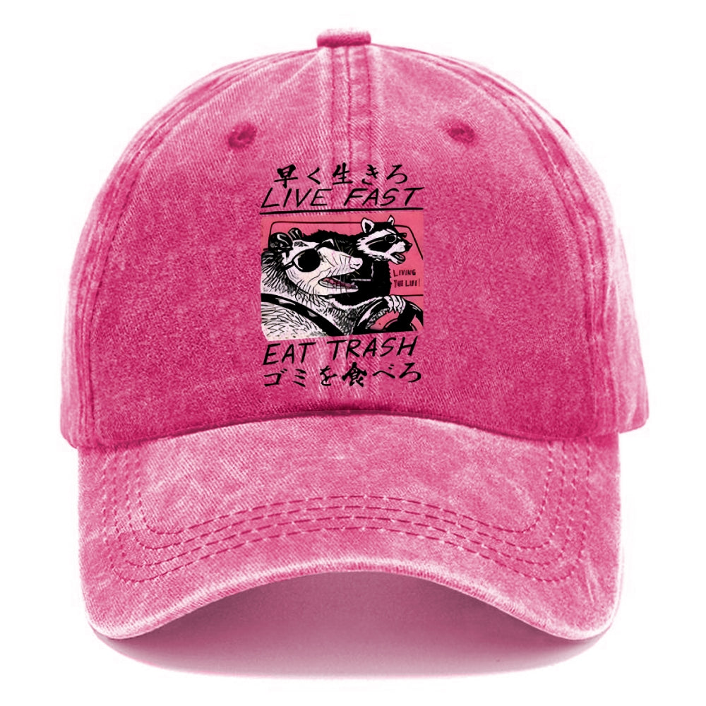 Live Fast Eat Trash Washed Cap