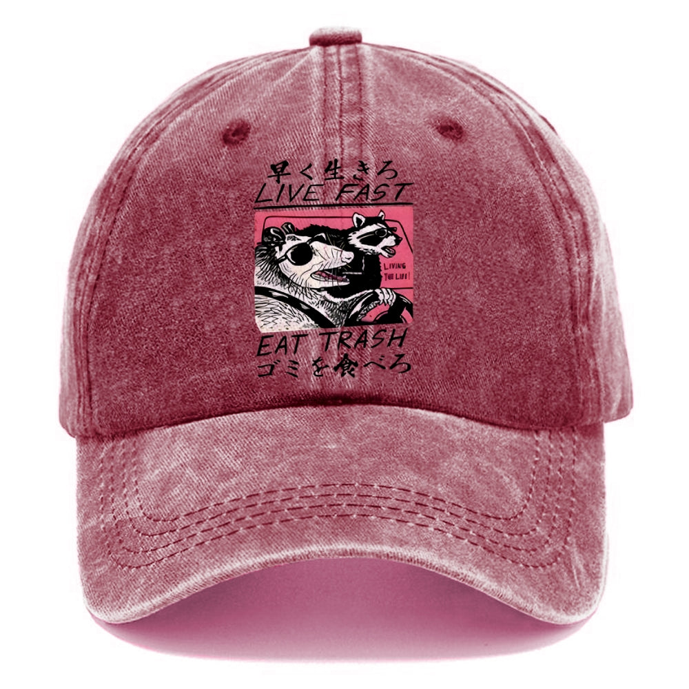 Live Fast Eat Trash Washed Cap