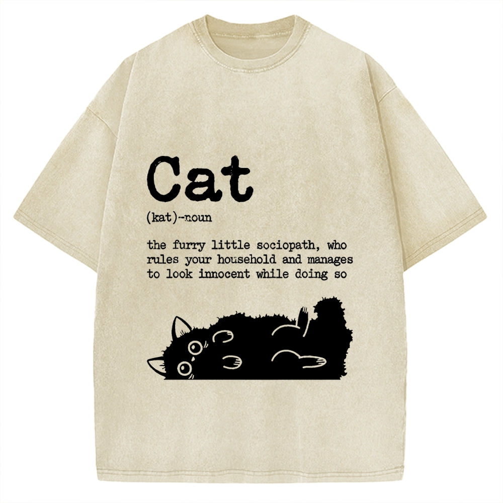 Definition Of Cat Funny Vintage Washed T-shirt