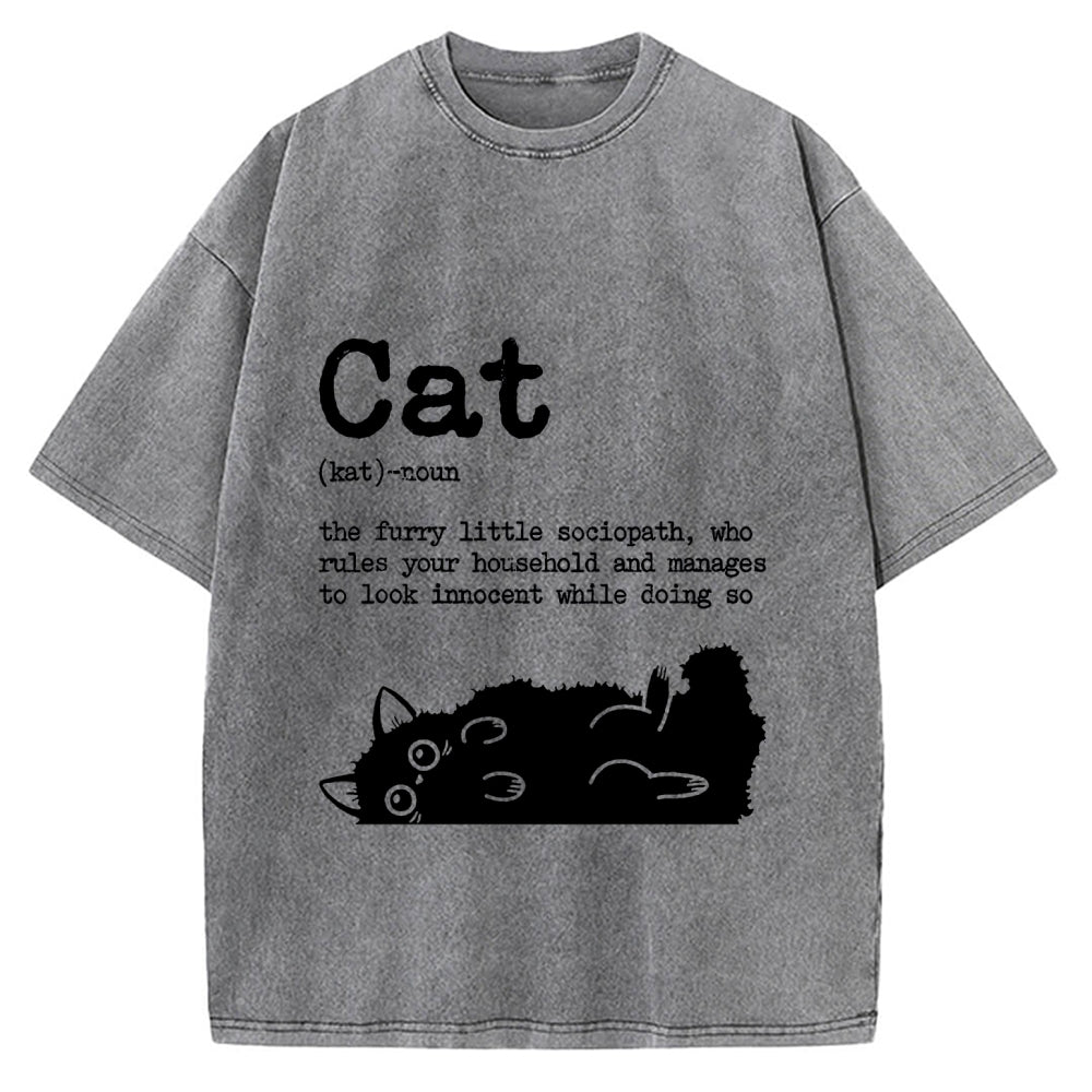 Definition Of Cat Funny Vintage Washed T-shirt
