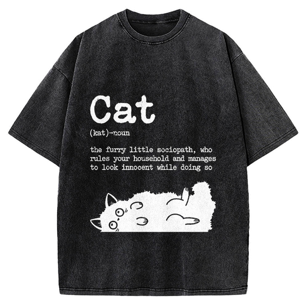 Definition Of Cat Funny Vintage Washed T-shirt