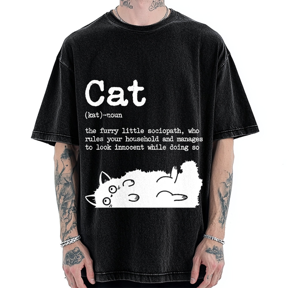 Definition Of Cat Funny Vintage Washed T-shirt