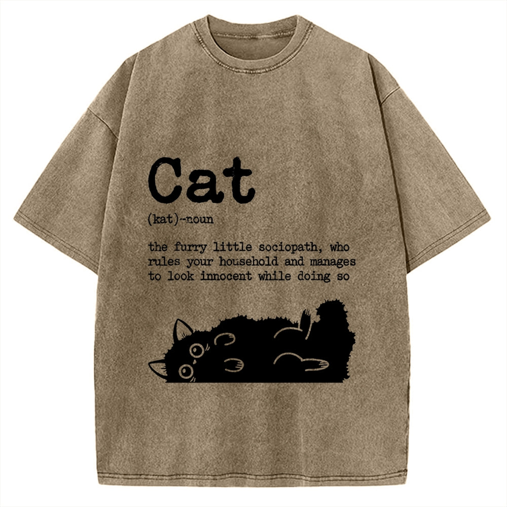 Definition Of Cat Funny Vintage Washed T-shirt
