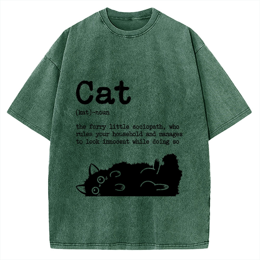 Definition Of Cat Funny Vintage Washed T-shirt