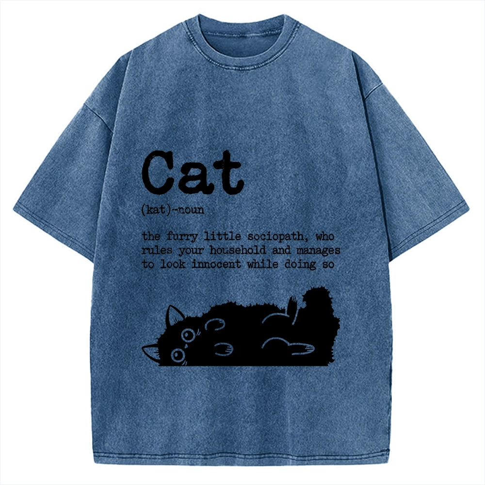 Definition Of Cat Funny Vintage Washed T-shirt