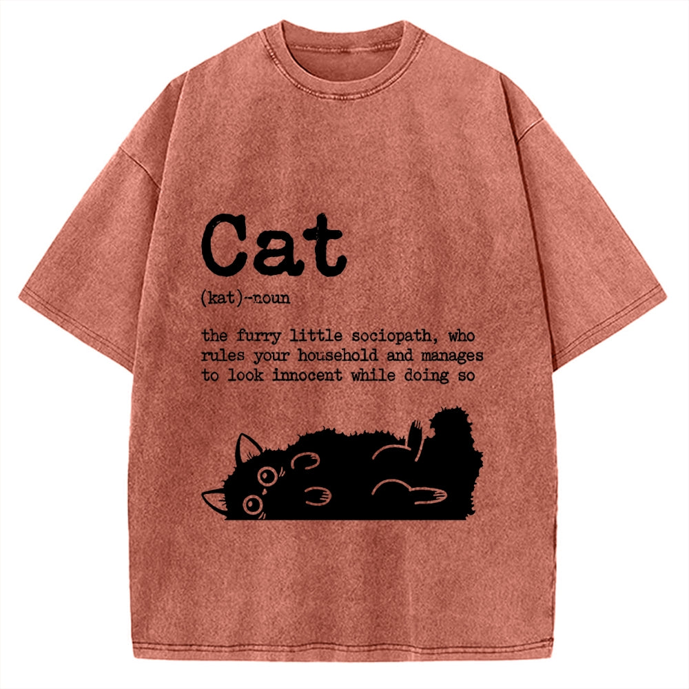 Definition Of Cat Funny Vintage Washed T-shirt