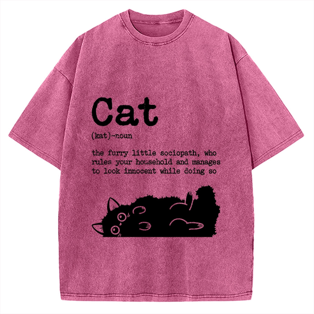 Definition Of Cat Funny Vintage Washed T-shirt