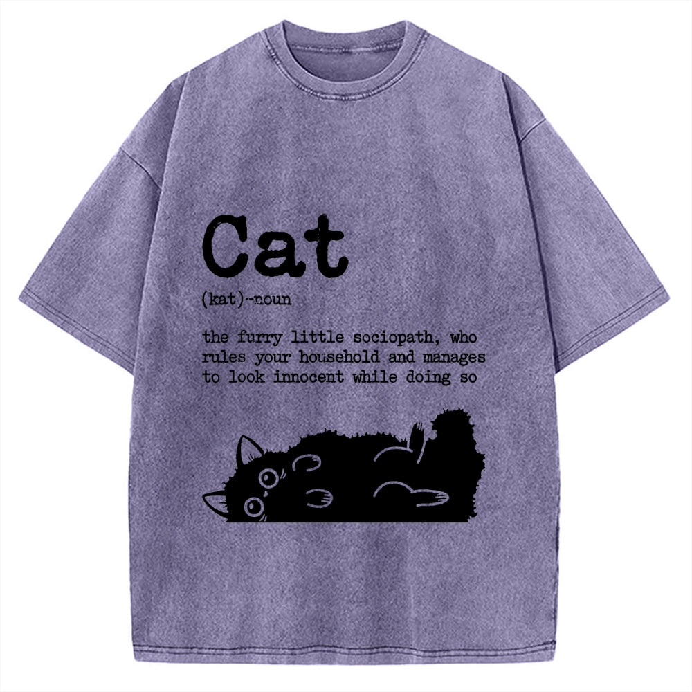 Definition Of Cat Funny Vintage Washed T-shirt
